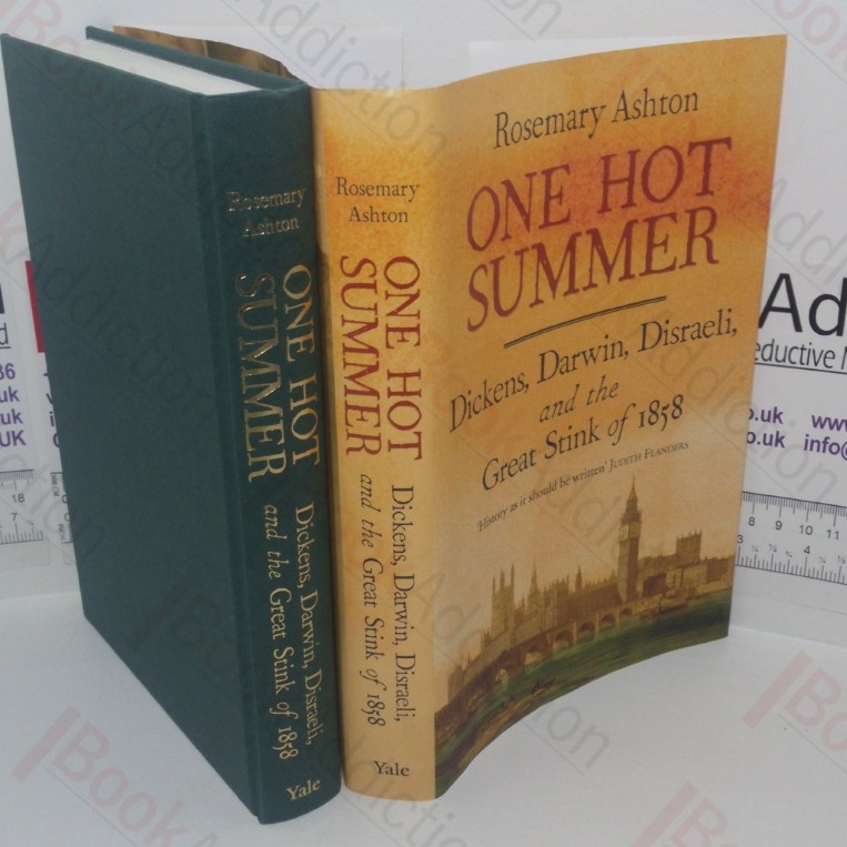 One Hot Summer: Dickens, Darwin, Disraeli and the Great Stink of 1858