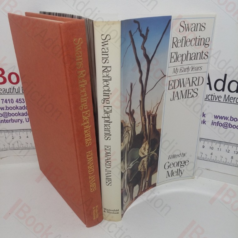 Swans Reflecting Elephants: My Early Years