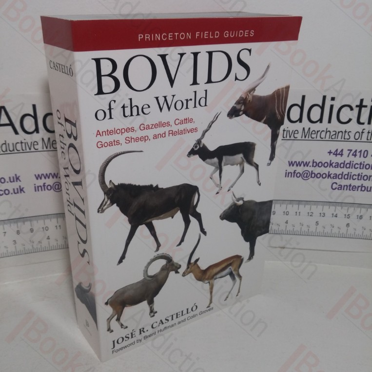 Bovids of the World: Antelopes, Gazelles, Cattle, Goats, Sheep, and Relatives (Princeton Field Guides, 104)