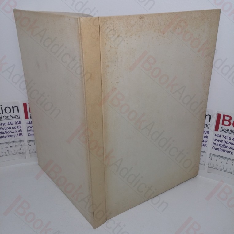 Musicisti: Visti da Eugenio Amadori