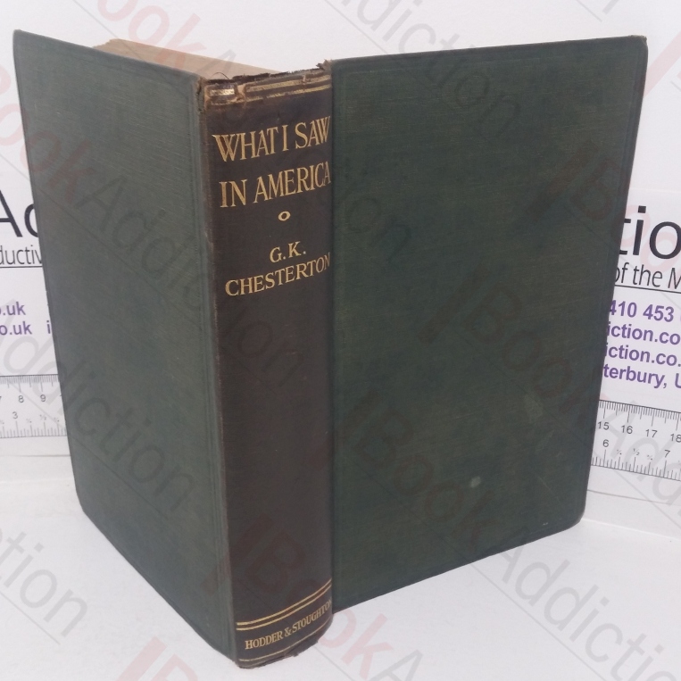 What I Saw in America