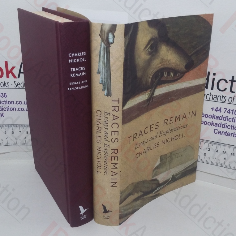 Traces Remain: Essays And Explorations