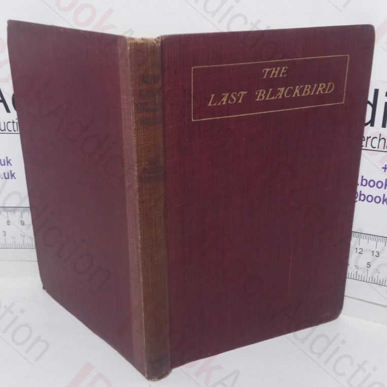 The Last Blackbird and Other Lines