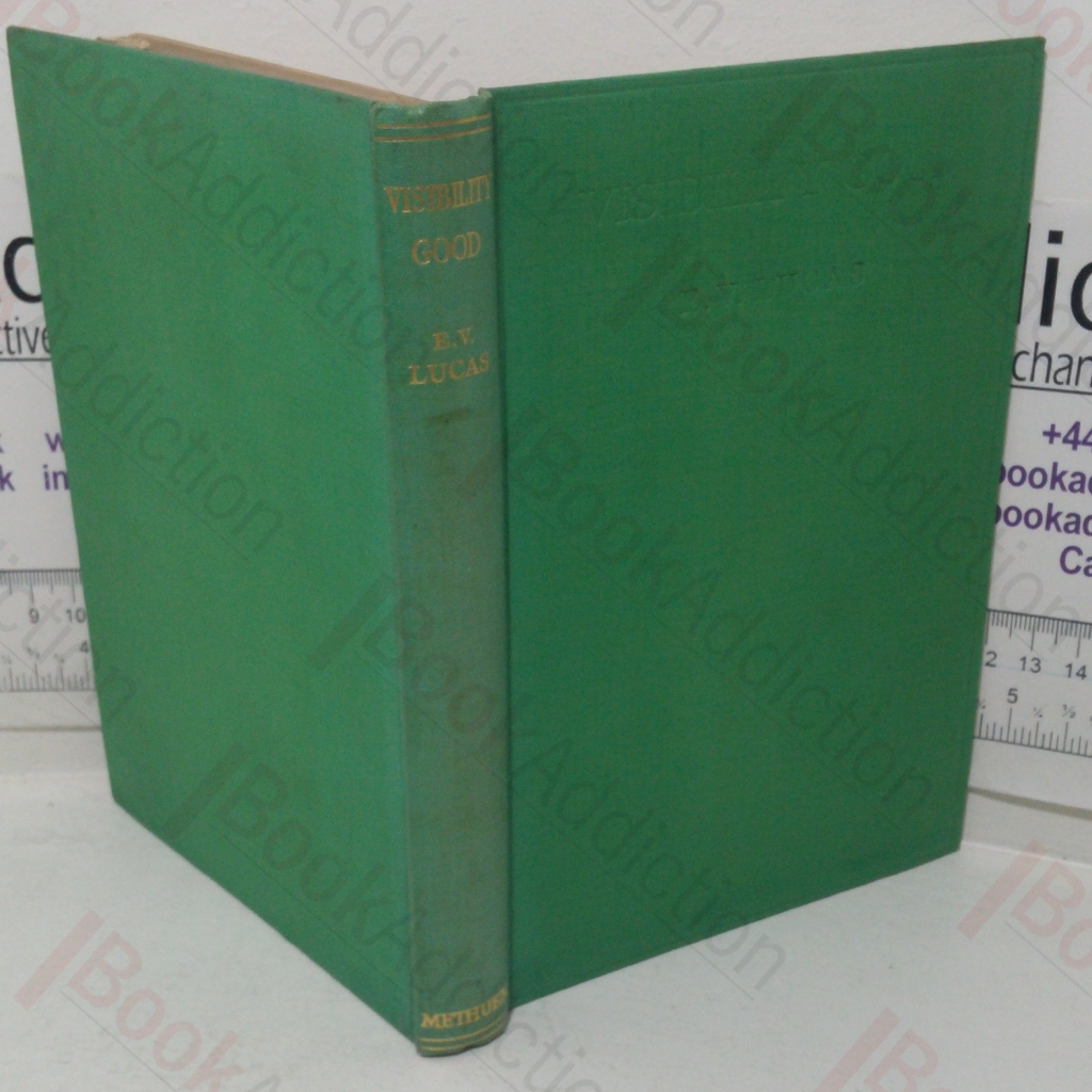 Visibility Good: Essays And Excursions