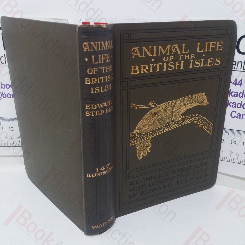 Animal Life of the British Isles: A Guide to the Mammals, Reptiles and Batrachians of Wayside and Woodland