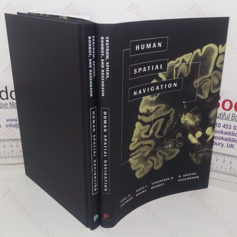 Human  Spatial Navigation